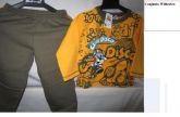 Conjunto wibertex